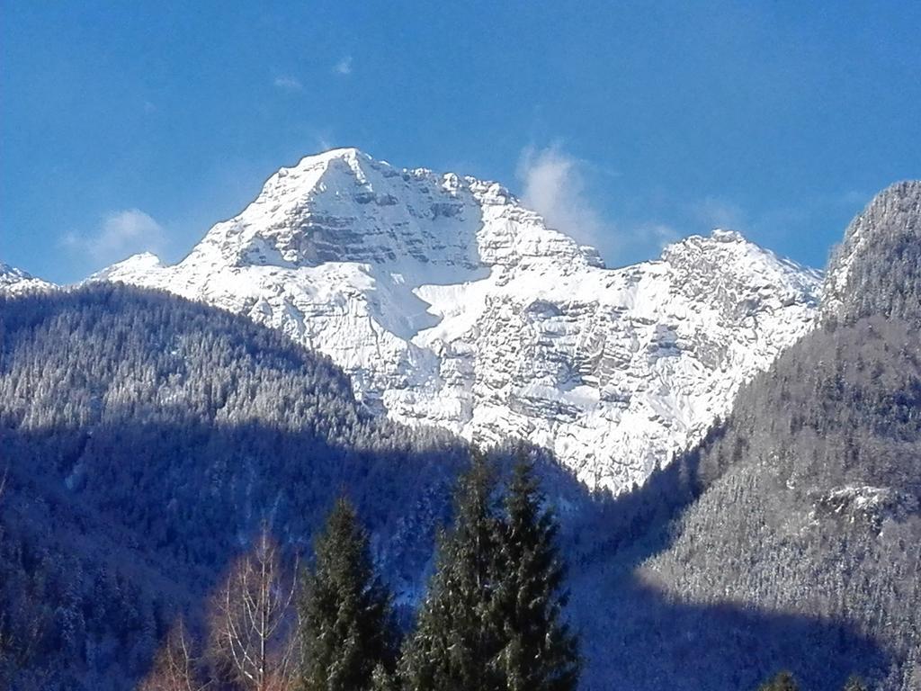 Pension Wildental Sankt Martin bei Lofer Exterior foto